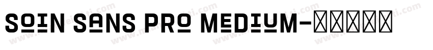 Soin Sans Pro Medium字体转换